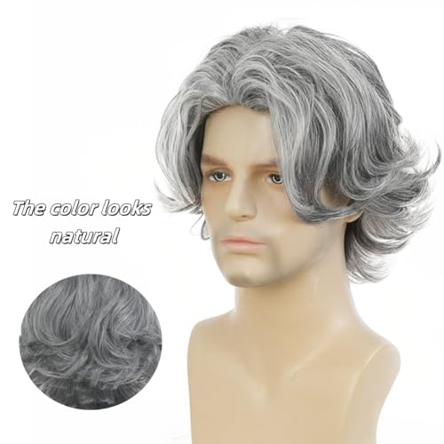 Men's Grey Short Wig - Natural Synthetic Hair for Daily Use