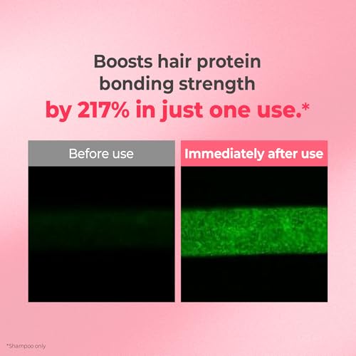 KUNDAL Protein Bonding Shampoo and Conditioner Set, Ylang Ylang, 16.9 Fl Oz - Korean Hair Care for Dry-Looking Hair, Protein Bonding Repairs Damage and Smooths Hair Strand Cuticles, LPP Protein