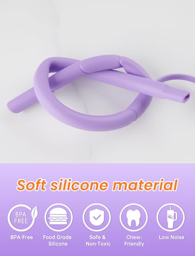 NiHome 6PCS Reusable Silicone Anti-Wrinkle Straws for Stanley Tumblers