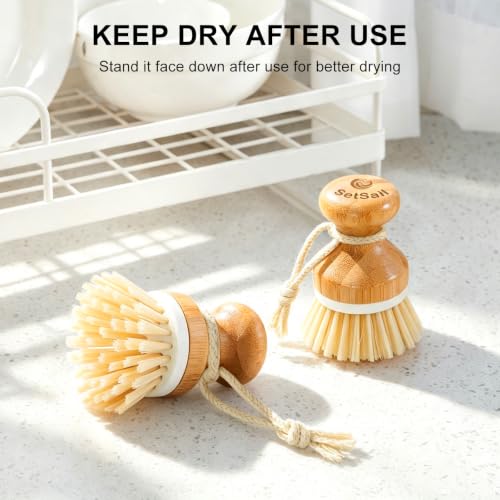 SetSail Bamboo Dish Scrub Brush 2 Pack - Ergonomic Kitchen Cleaning