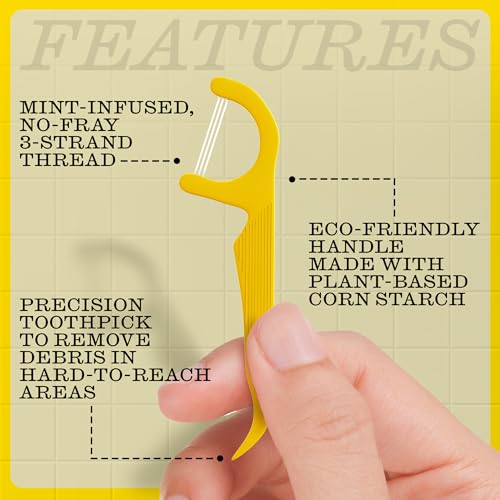 TWICE Eco-Friendly Dental Floss Picks – 300 Count, Mint Flavor