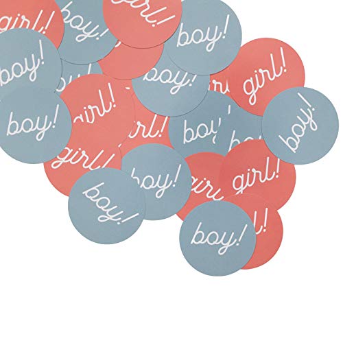 Gender Reveal Stickers - Pink & Blue Baby Shower Party Favors