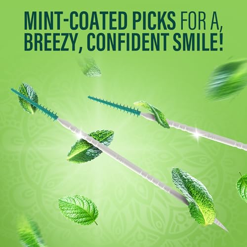GuruNanda 2-in-1 QuickPik Toothpick & Interdental Pick, 300 Ct