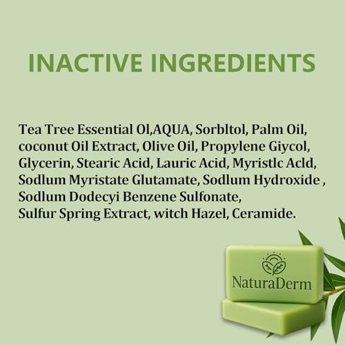 Refreshing Tea Tree Oil Facial Soap - Oil Control, 2pcs