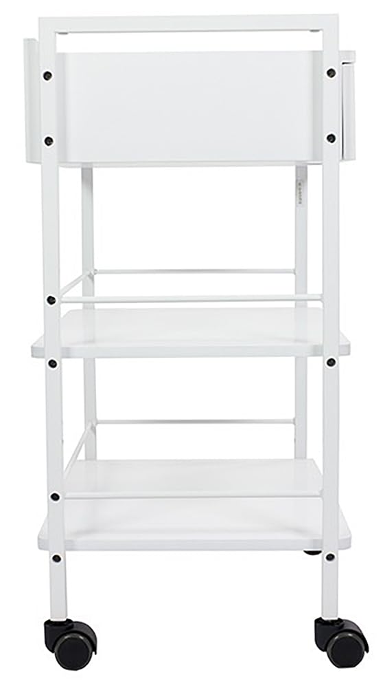 SKINACT Pro Single Drawer Cart Pro Medical Dental Mobile Utility Cabinet & Cart with Steel Frame and One Drawer