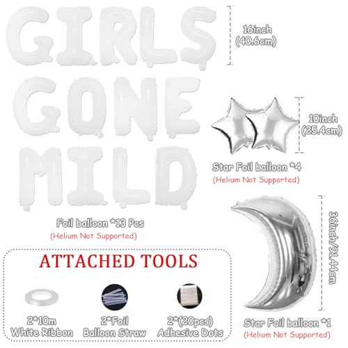 Girls Gone Mild Bachelorette Party Balloon Kit - Silver & White