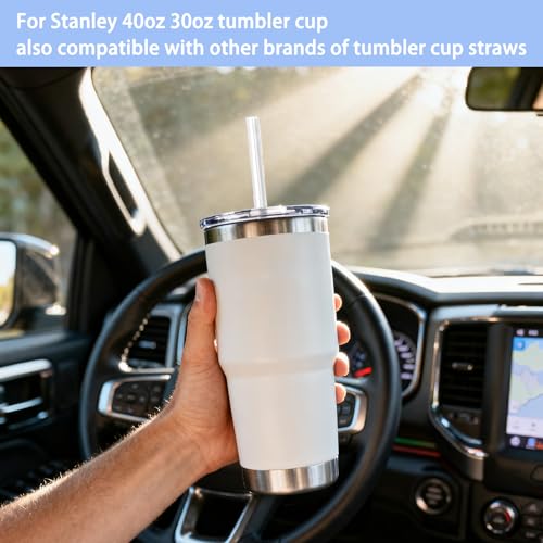 10 Reusable Straws for Stanley Tumblers | 12-Inch Colorful Straws with Cleaning Brushes