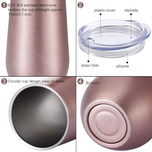 6 oz Stainless Steel Insulated Champagne Tumbler with Lid