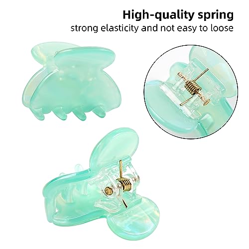 Mistofu 12PCS Small Hair Claw Clips for Women - Mini Acrylic Jaw Clips, Variation: Small Hair Clips1
