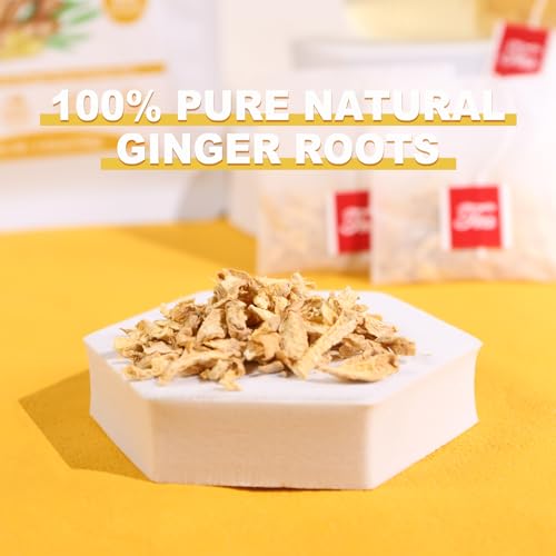 TEARELAE Pure Ginger Tea Bags - 64 Count for Digestion & Respiratory Health