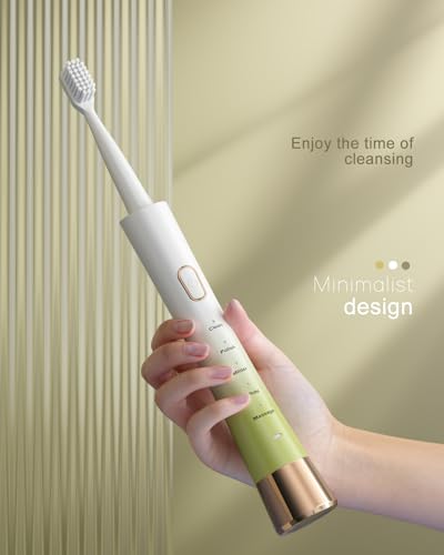 AJELU Sonic Electric Toothbrush for Adults with 8 Brush Heads