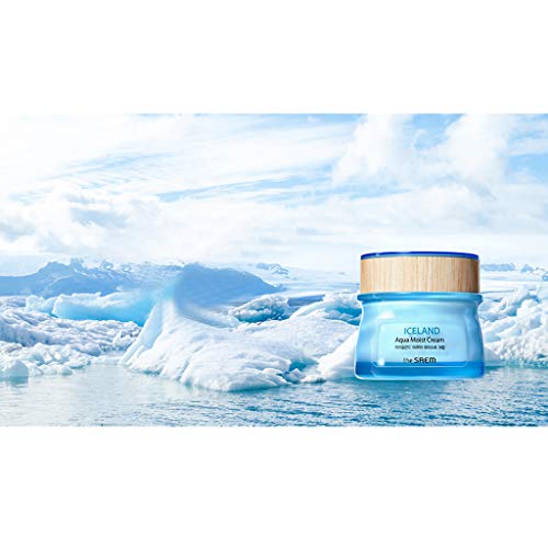 THESAEM Iceland Aqua Moist Cream - Hydrating Face Moisturizer for Sensitive Skin