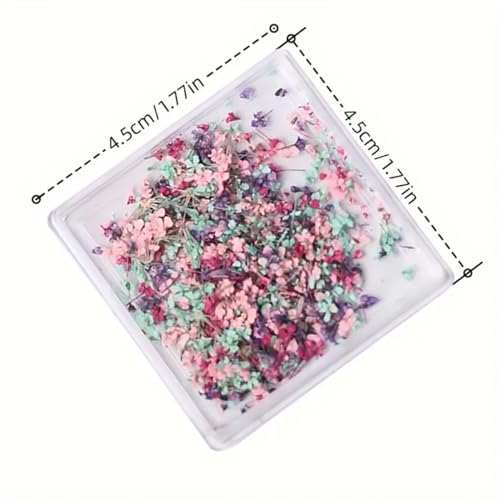 POWPOP Style-04 3D Dried Flower Nail Art Stickers, Colorful Floral Decals for Summer Manicure