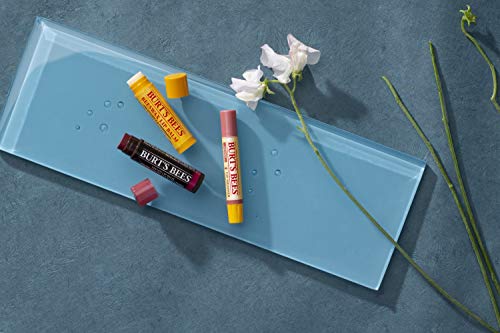 Burt's Bees Beeswax Lip Balm 4-Pack - Natural Moisturizing Care