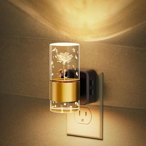 JandCase Rose Carved Night Light with RGB & Soft White Options