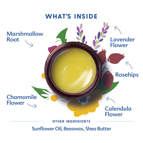 Motherlove Pregnant Belly Salve (4 oz) Moisturizing Organic Balm to Use on Growing Belly