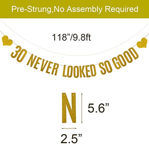 30th Birthday Banner - Gold Glitter Pre-Strung Party Decoration