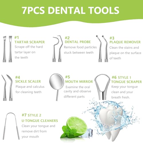 7-Piece Professional Oral Care Kit - Stainless Steel Dental Tools