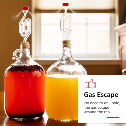 6 Pack Twin Bubble Airlocks for Homebrewing & Fermentation