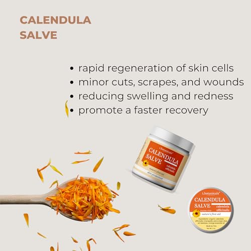 Calendula Salve 2 Ounce - Skin Soothing Herbal Moisturizer