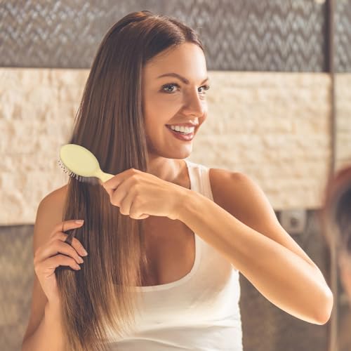 Mini Wet Hair Brush Travel Detangler - 4 Pack, Soft Bristles