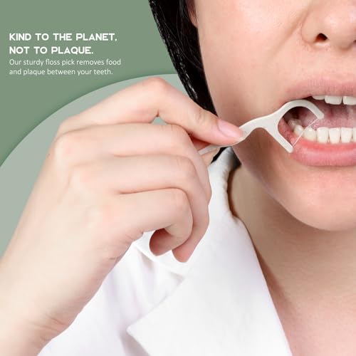 Isshah Mint Dental Floss Picks - Sustainable Vegan Interdental Care - 300 Count