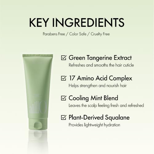 Lime Sunday ANILLO Ceramide Conditioner for Dry Hair - 5.07 fl oz
