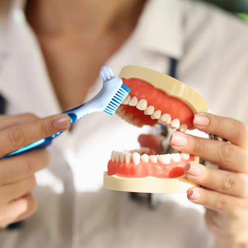 Denture Cleaning Brush Set - 4PCS Soft Bristle Toothbrushes