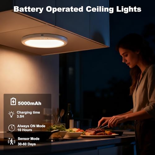 Rechargeable Motion Sensor Ceiling Light with Remote Control
