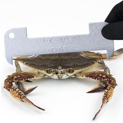 Lobster and Crab Gauge Measuring Tool - 2 Pack Aluminum, 3.25" & 5"