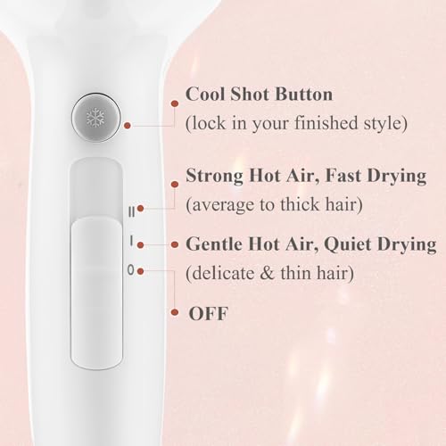 Licoseam 1875W Compact Hair Dryer with Diffuser and Concentrator