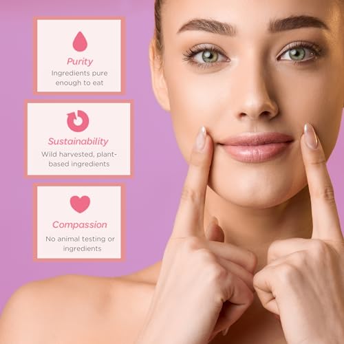 Ellovi Lavender Lip Butter - Organic 4-Pack Lip Balm