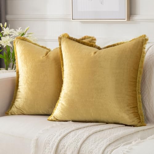 FUTEI Pack of 2 Velvet Throw Pillow Covers 18x18 Inch with Tassels