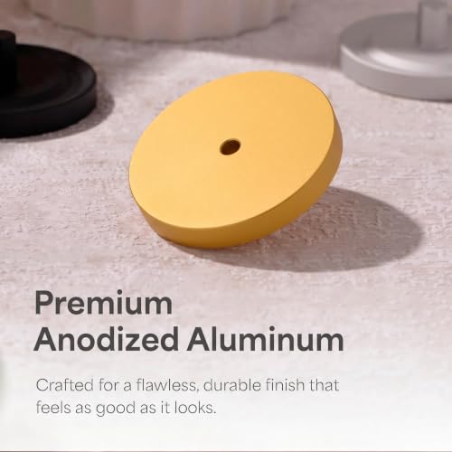 Gold Aluminum Oral-B Electric Toothbrush Holder - Pack of 1