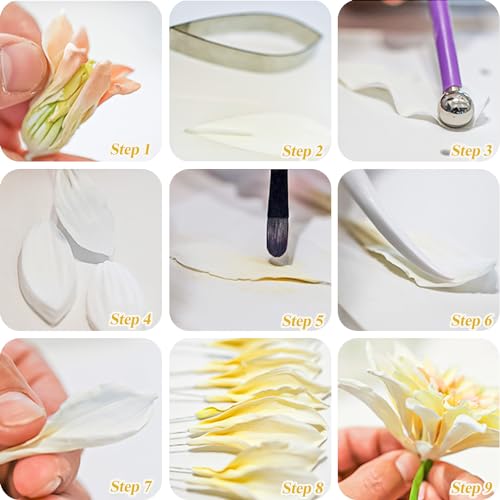 KALAIEN 6-Piece Dahlia Sugar Flower Cutter Set for Cake Decorating