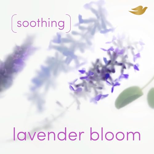 Dove Lavender Bloom Alcohol-Free Whole Body Deodorant Spray, 4 oz