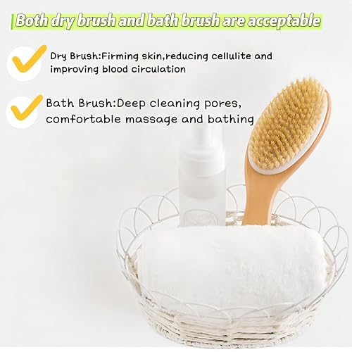 Natural Bristle Dry Brushing Body Brush with Wooden Handle