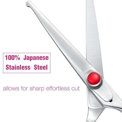 Dragon Creek 6" Kids Hair Scissors - Silver Safety Shears for Children