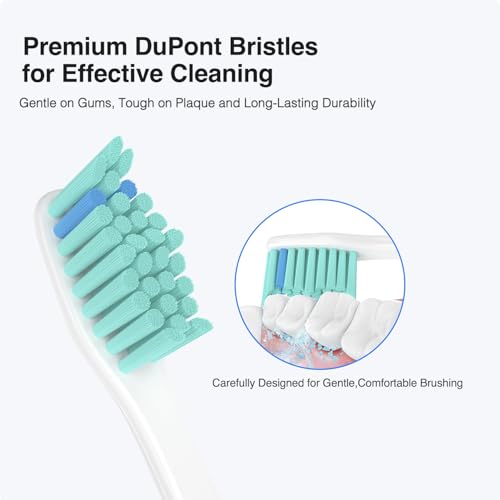 BOVVSLE Green & Blue Replacement Toothbrush Heads for Philips Sonicare E-Series, Pack of 6