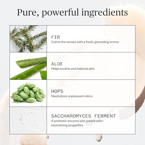 Ursa Major Forest Fix Natural Deodorant - Aluminum-Free, 2.6 oz