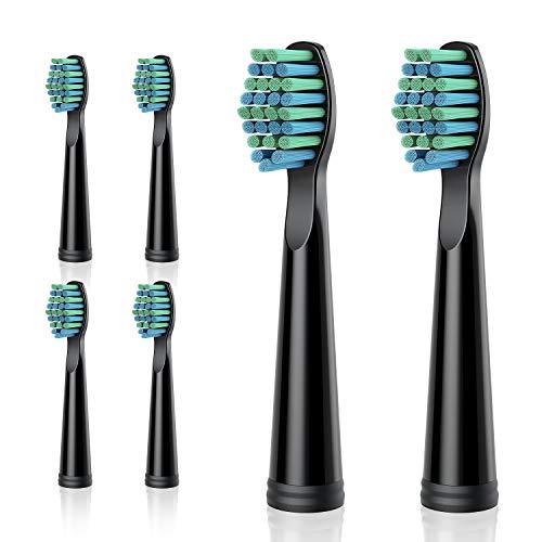 TEETHEORY 6 Replacement Electric Toothbrush Heads - DuPont 3D Design