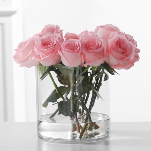 Clear Acrylic Cylinder Vase - 5.9" Round Non-Breakable Decorative Centerpiece