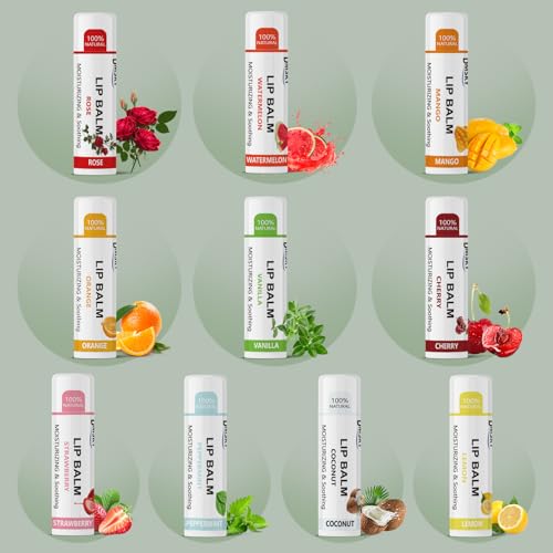 Dmsky Bulk Lip Balm Set – 20 Count, 10 Flavors Hydrating Natural Lip Moisturizer