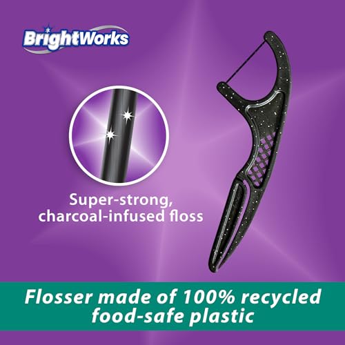 BrightWorks Eco-Friendly Charcoal Mint Floss Picks - 225 Count