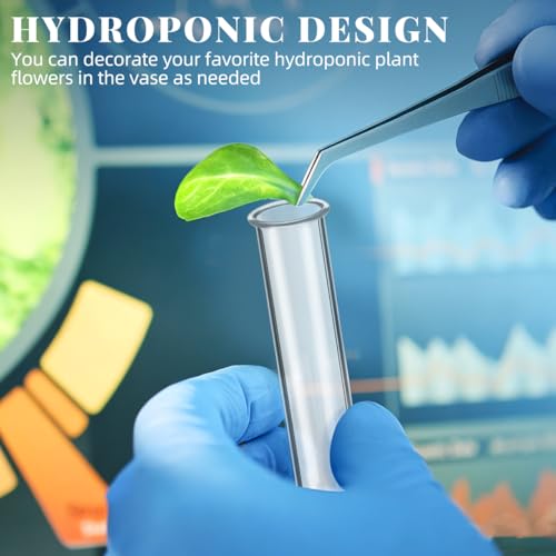 Hydroponic Plant Propagation Tubes - 4 Clear Glass Vases for Home
