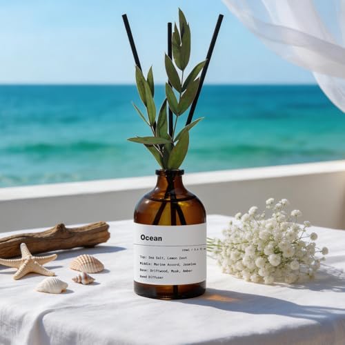 Aqua Blance Ocean Scent Reed Diffuser Set - 3.4 fl oz
