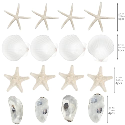 Fangoo 16Pcs Natural Starfish & Scallop Shells for Crafts
