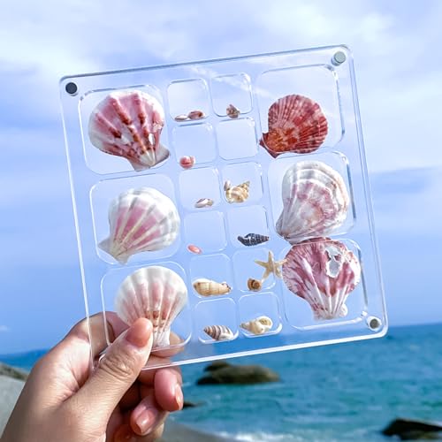Seashell Display Case with Magnetic Closure | Acrylic Organizer with 18 Grids