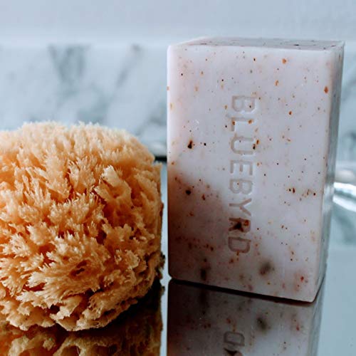 Bluebyrd Orange & Clove Exfoliating Soap Bar - 100% Vegan, 8.6oz