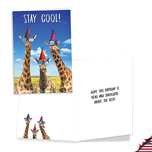 Funny Animal Birthday Greeting Cards - Assorted 3 Pack with Envelopes